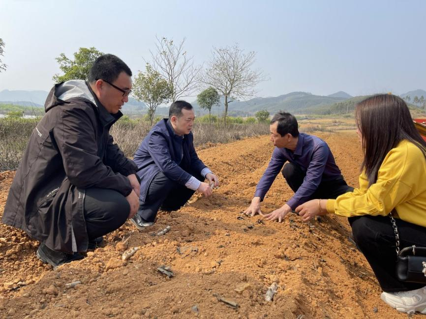 体系“两岗一站”在韶关市翁源县开展木薯春耕机械化试验示范