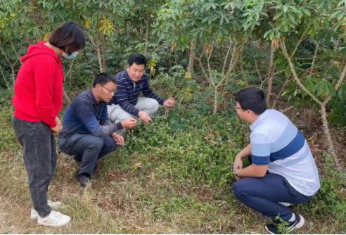 生物防治与综合防控岗位成员到广西和江西交流