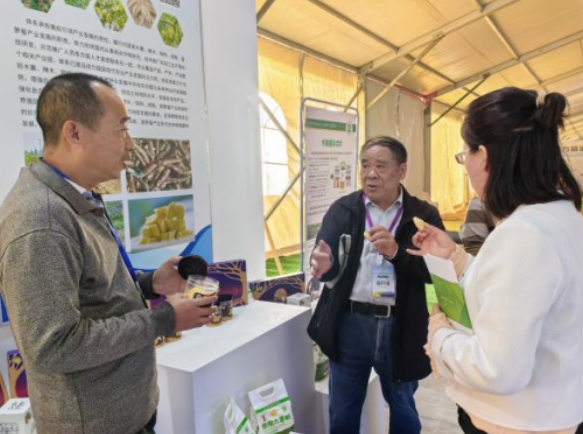 国家木薯产业技术体系组织参加第十三届中国国际薯业博览会