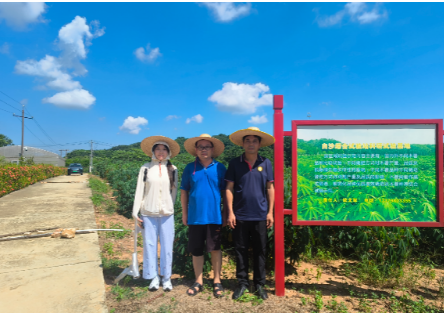 病害防控岗联合白沙综合试验站开展海南木薯病害调研