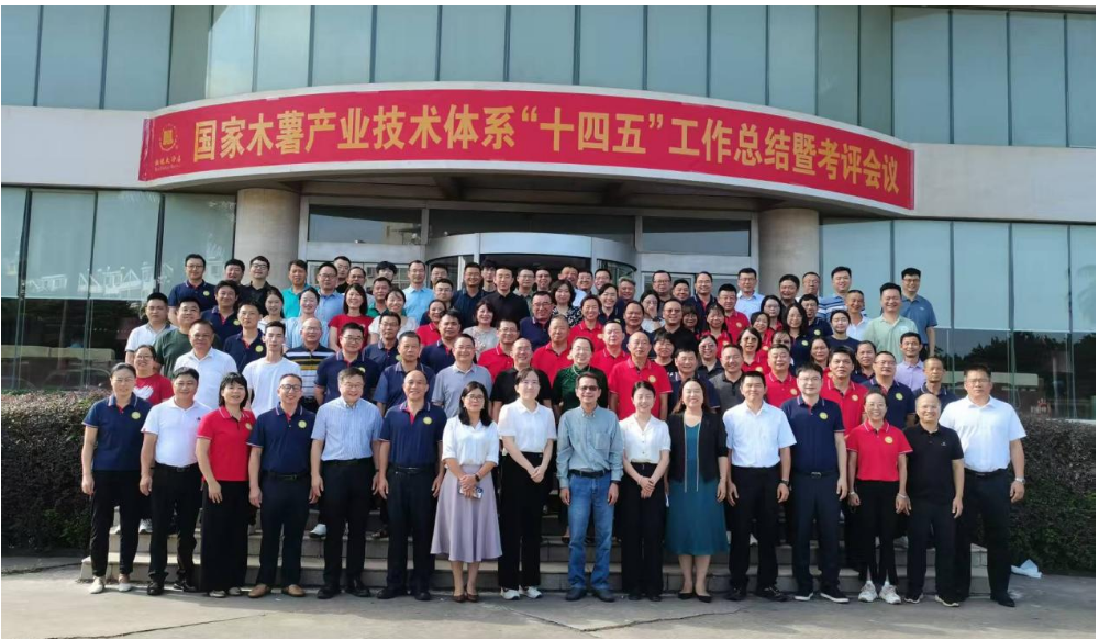 国家木薯产业技术体系“十四五”总结暨考评会在广西合浦顺利召开