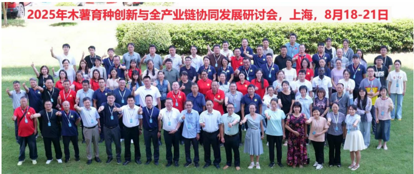 “2025年木薯育种创新与全产业链协同发展研讨会”在沪成功举办