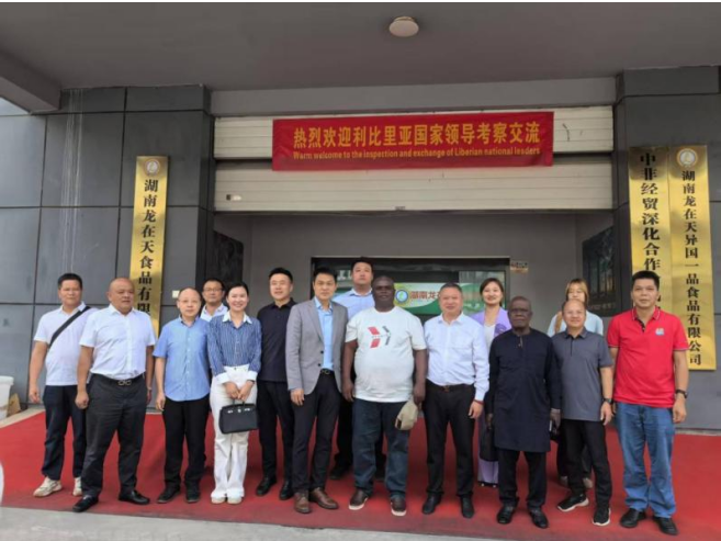 体系专家与利比里亚国家木薯考察团交流，助力利国木薯链升级
