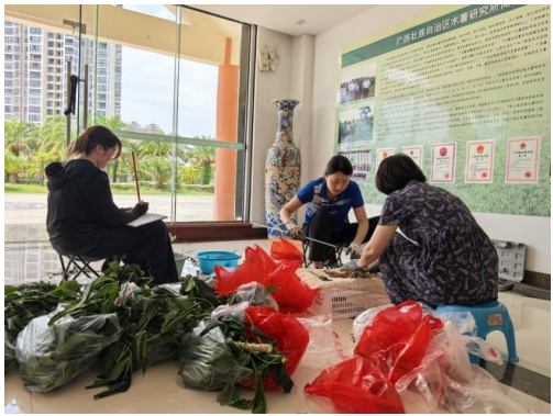 贵港综合试验站与木薯抗逆材料创制岗开展“食用木薯桂热10号淀粉解析”合作