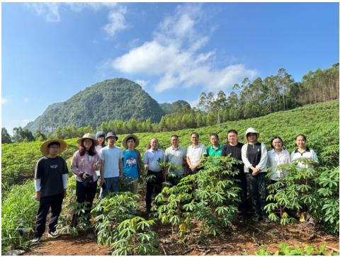 站站联合，协助开展广西木薯主产区种植遥感核查工作