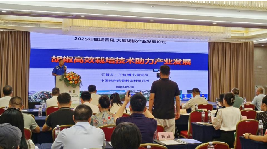 咖啡海南万宁综合试验站应邀参加“椰城香见·大坡胡椒”品牌推广营销系列活动