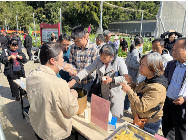 食用木薯亮相广东种博会
