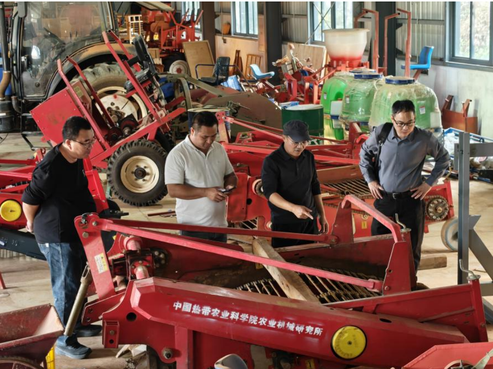 两岗一站对接企业 谋划广东木薯新业态