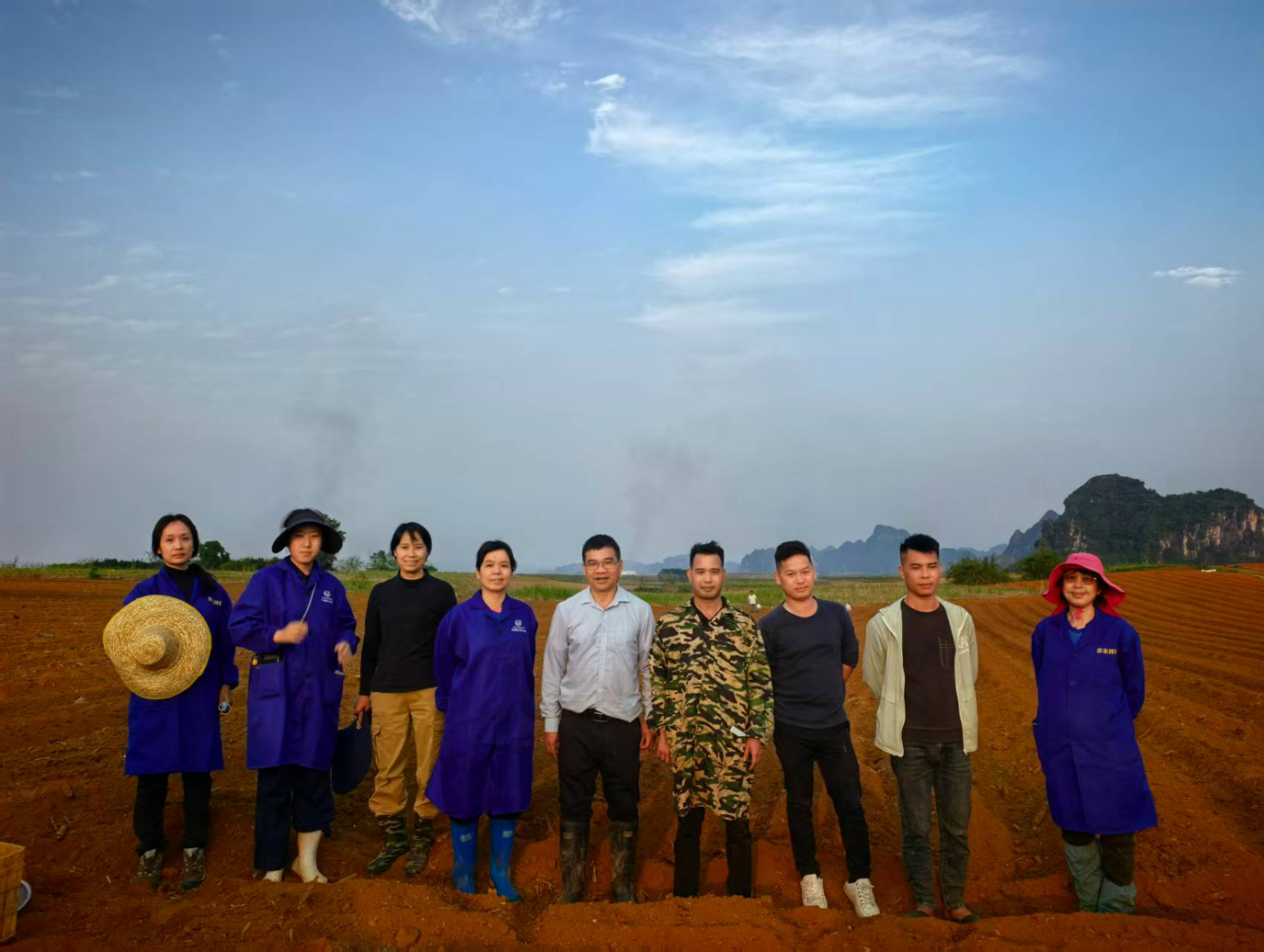 国家木薯产业技术体系专家走进生产一线 促进地区食用木薯高效种植