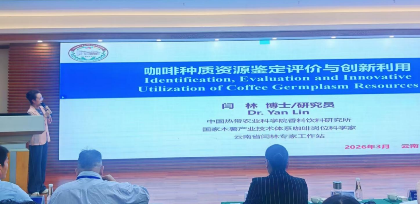 体系咖啡岗位科学家应邀参加中美（孟连）咖啡学术交流活动