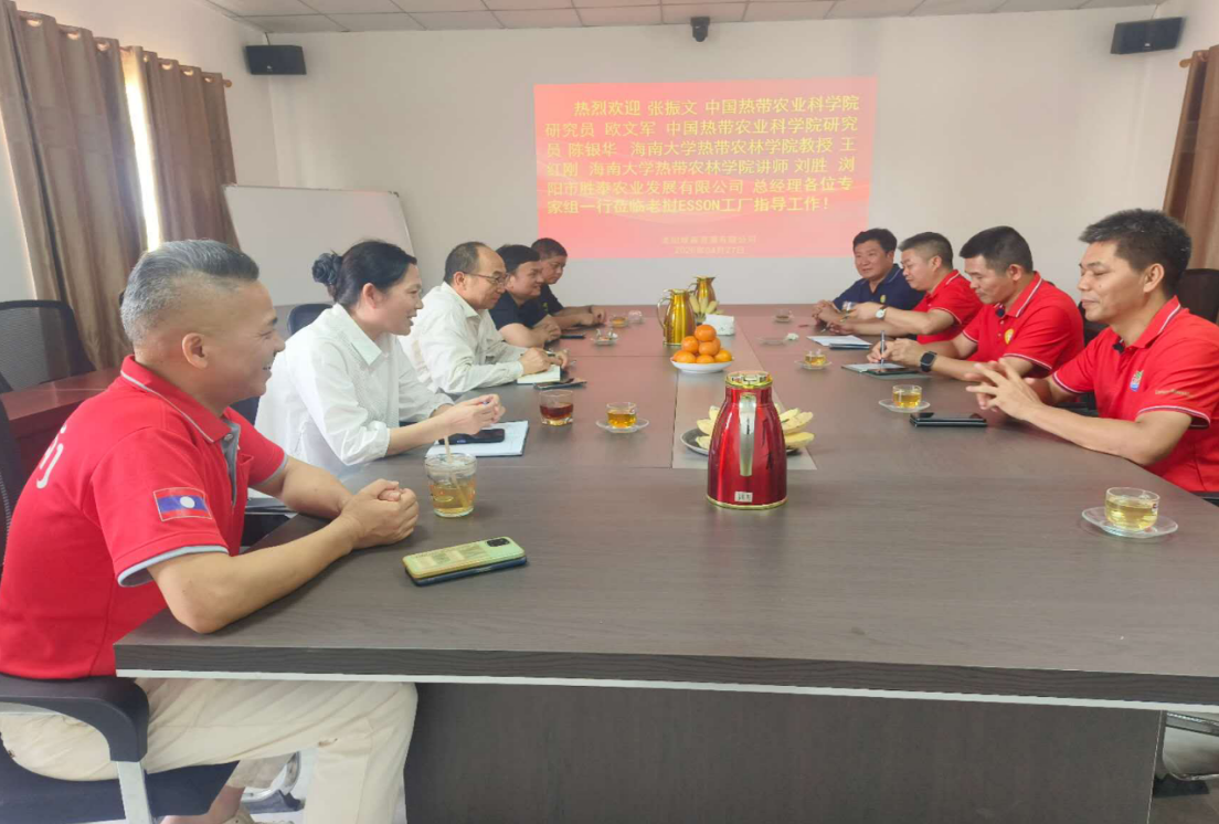 体系方案“出海”，打造跨境科技服务新样板