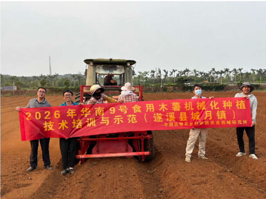 跟踪服务不停步 技术落地见实效——体系专家再赴湛江推进木薯机械化种植