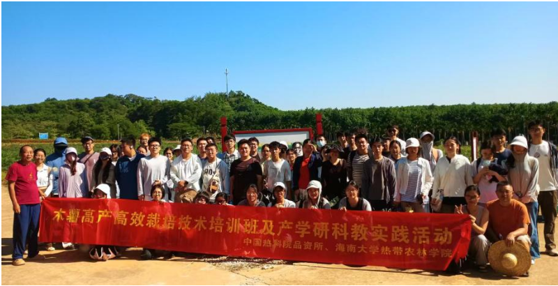 体系木薯高产高效栽培技术培训及产学研科教实践活动