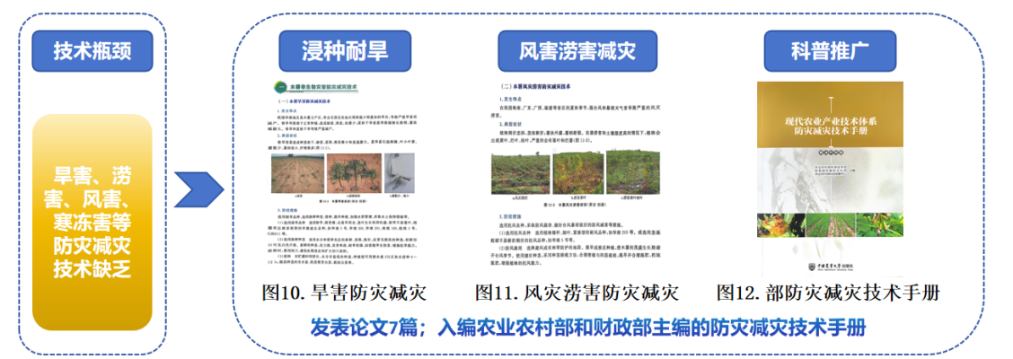 木薯“能耕善抗”，土生金 （记国家特色热带作物产业技术体系十四五工作进展之二）
