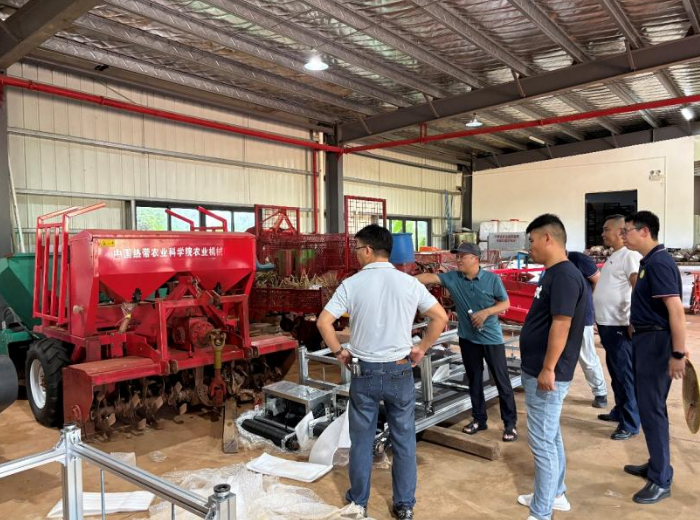 体系岗站联合 助力企业高效推进撂荒地发展木薯产业