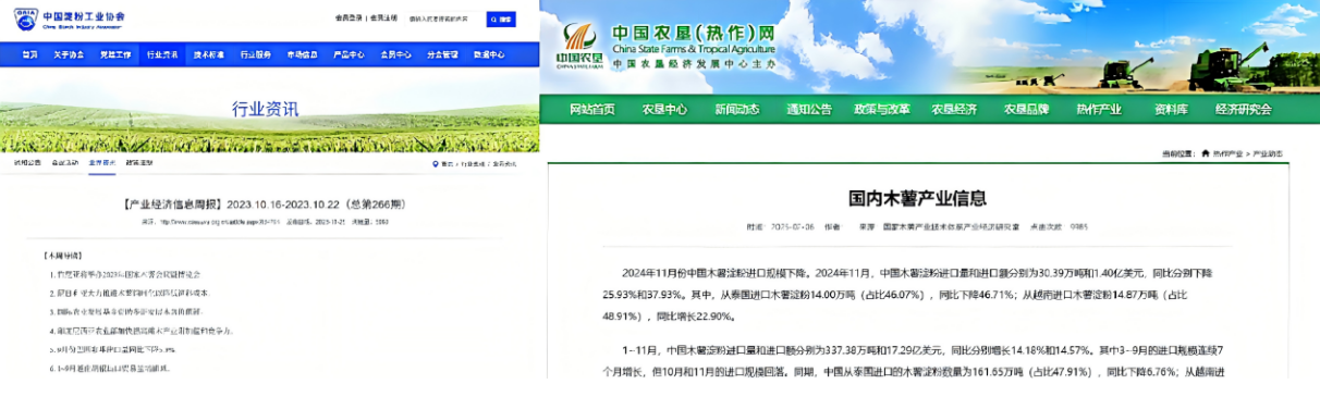 “芯”里有“数”，写就木薯产业经济账 （记国家特色热带作物产业技术体系十四五工作进展之六）