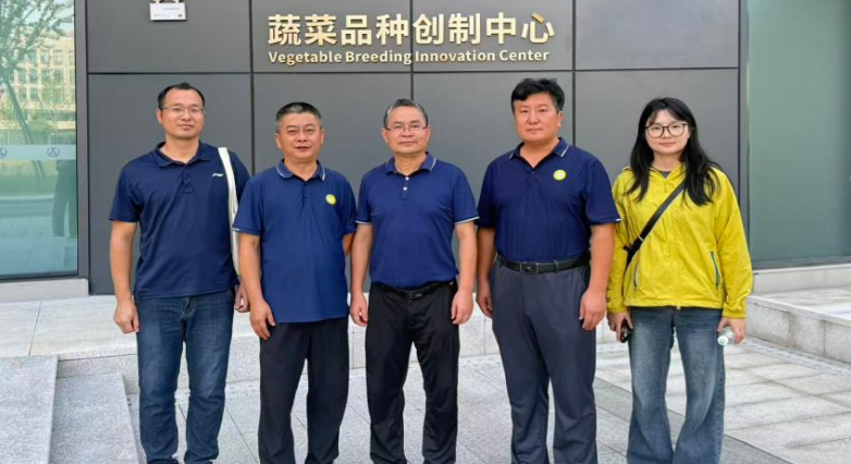 岗站对接进田间，实地问诊木薯有害生物绿色防控