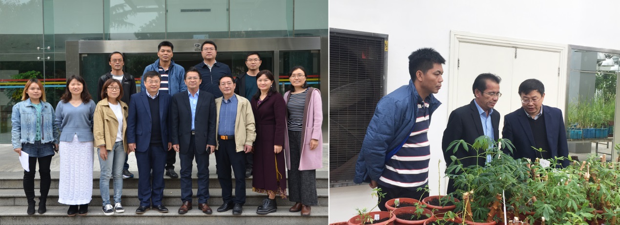木薯体系首席科学家一行访问中国科学院分子植物科学卓越创新中心